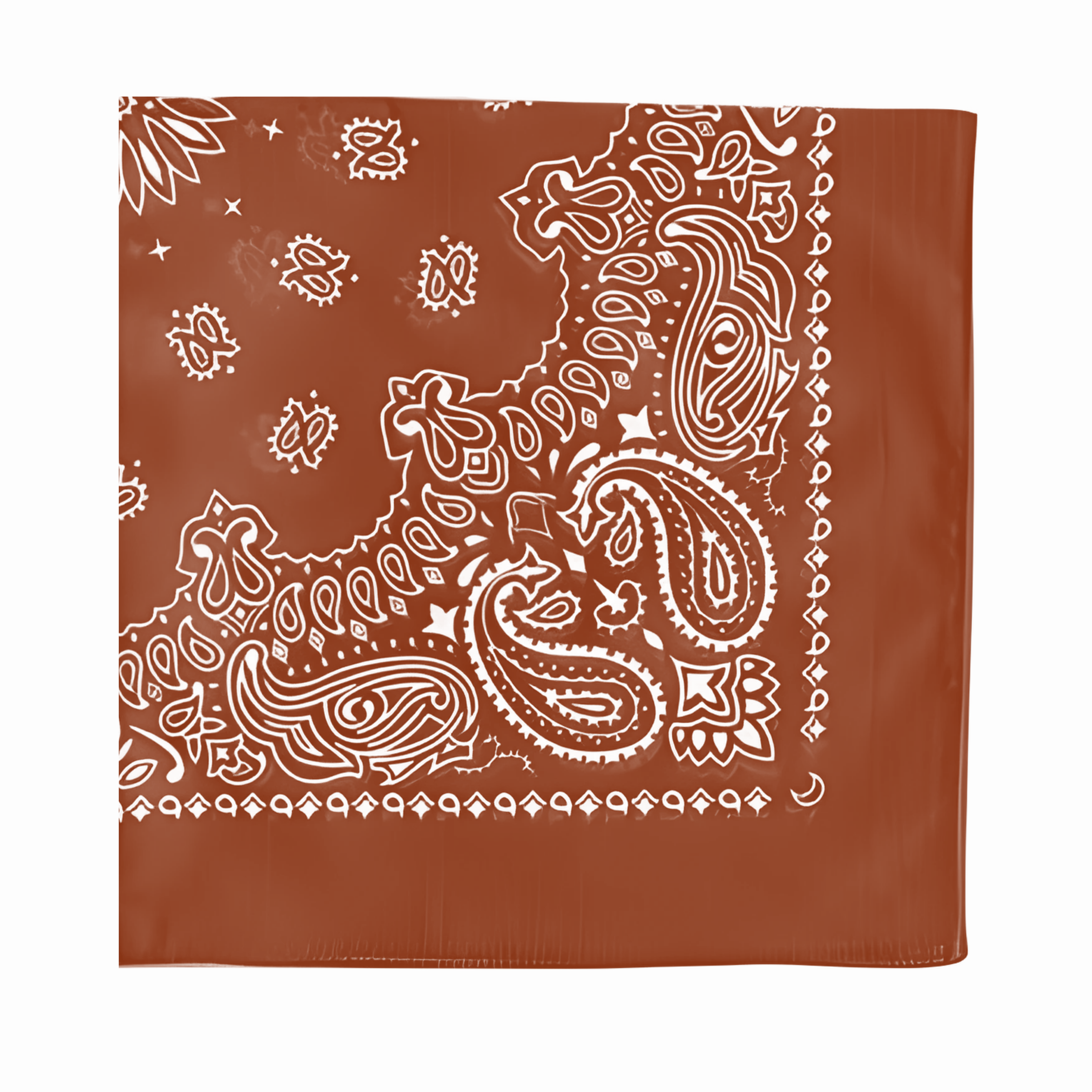 Cotton Paisley Bandana