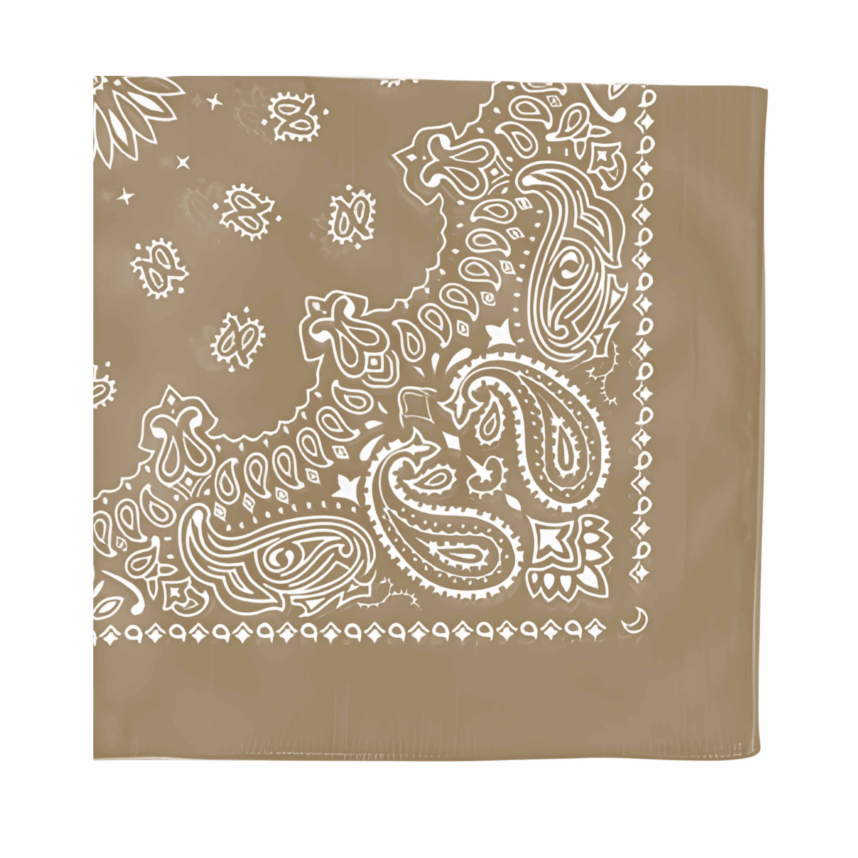 Cotton Paisley Bandana