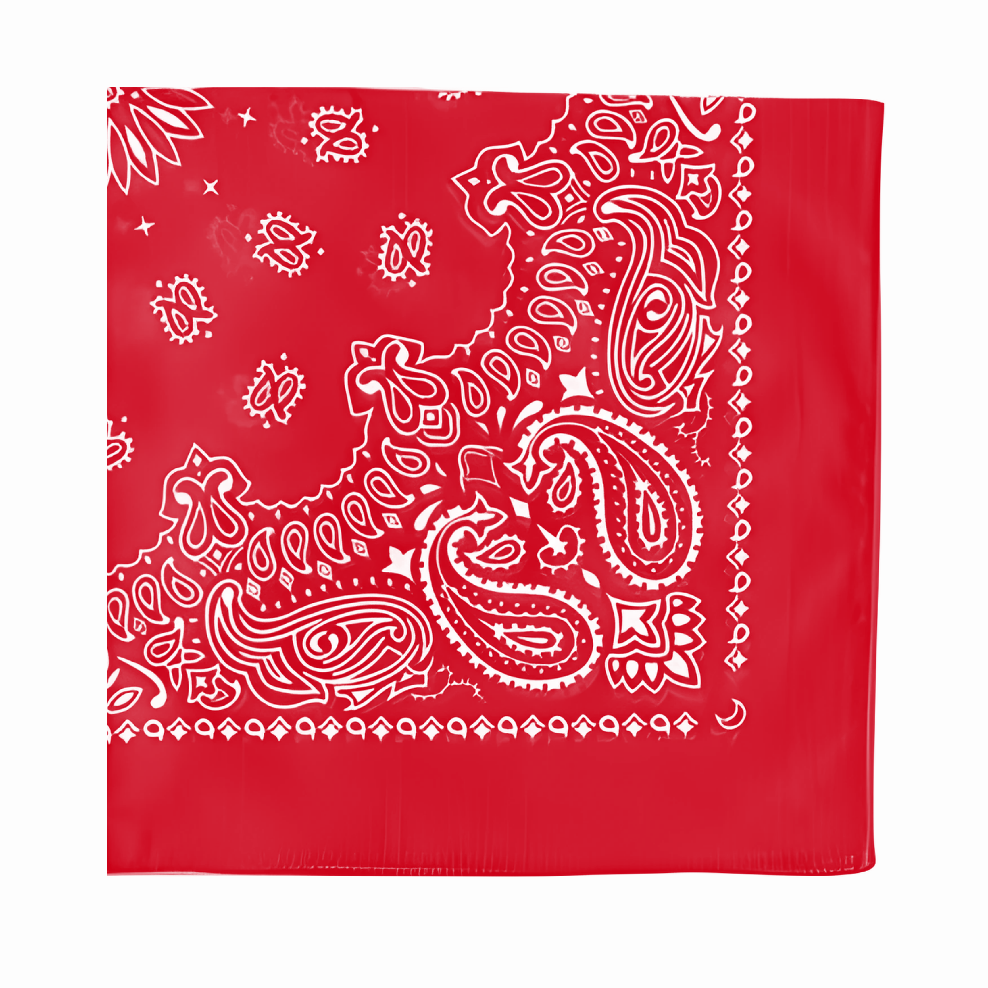 Cotton Paisley Bandana