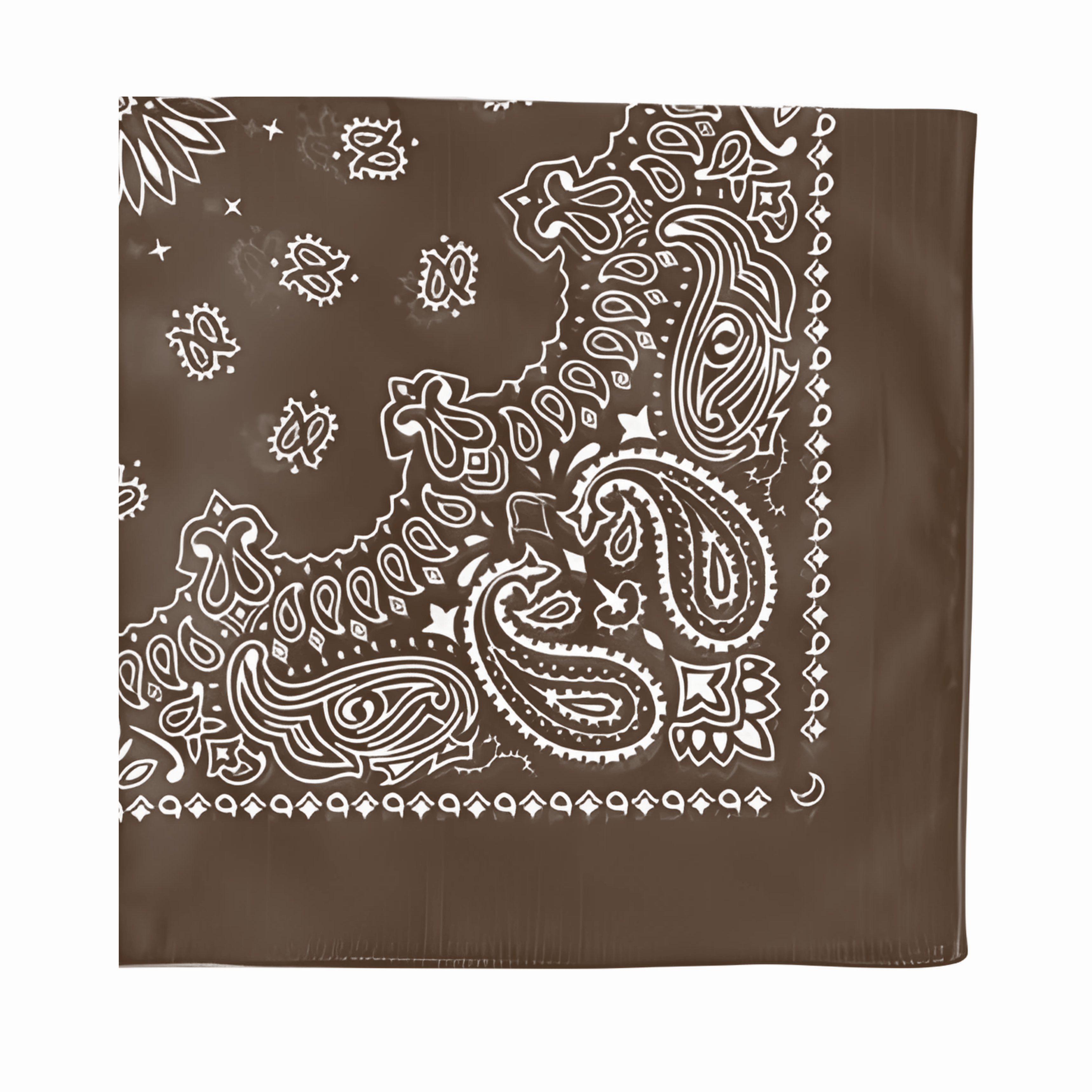 Cotton Paisley Bandana